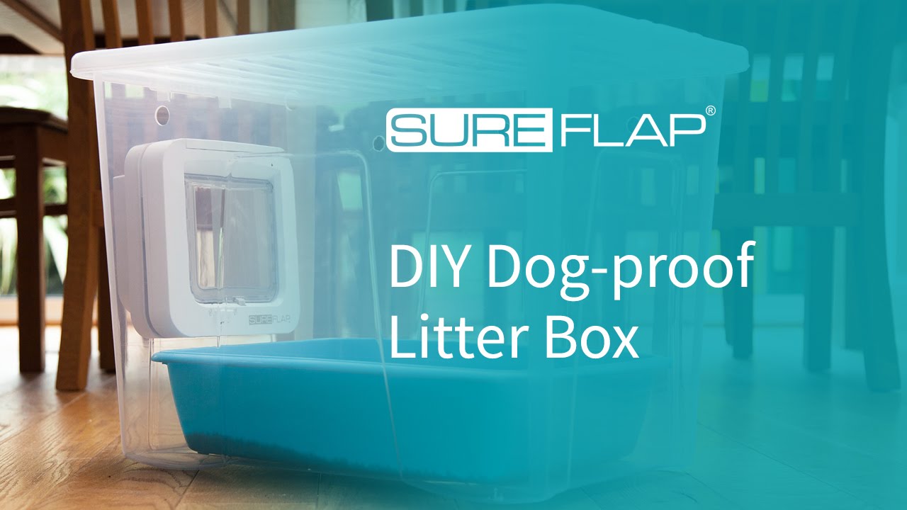 Best cat litterbox to keep dogs out