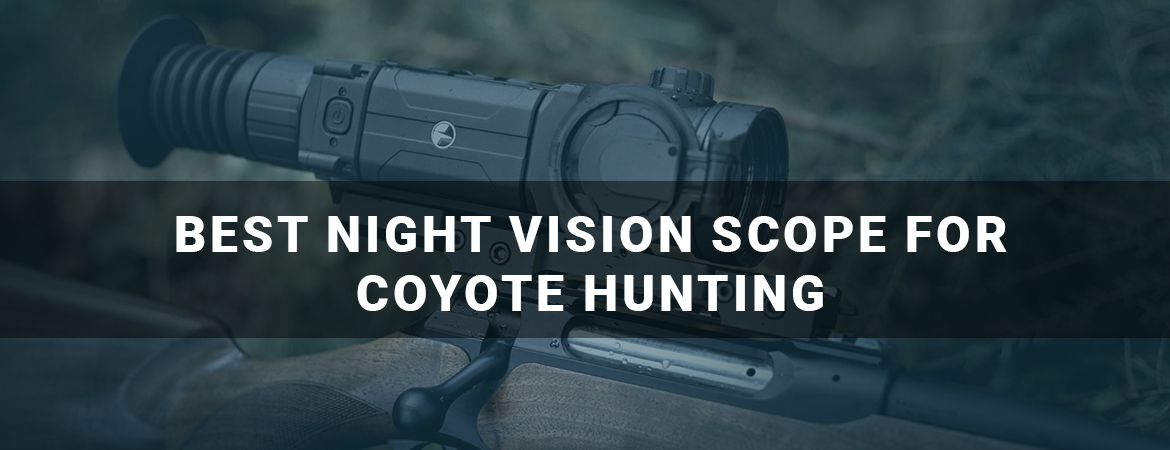 Best Night Vision Scope for Coyote Hunting