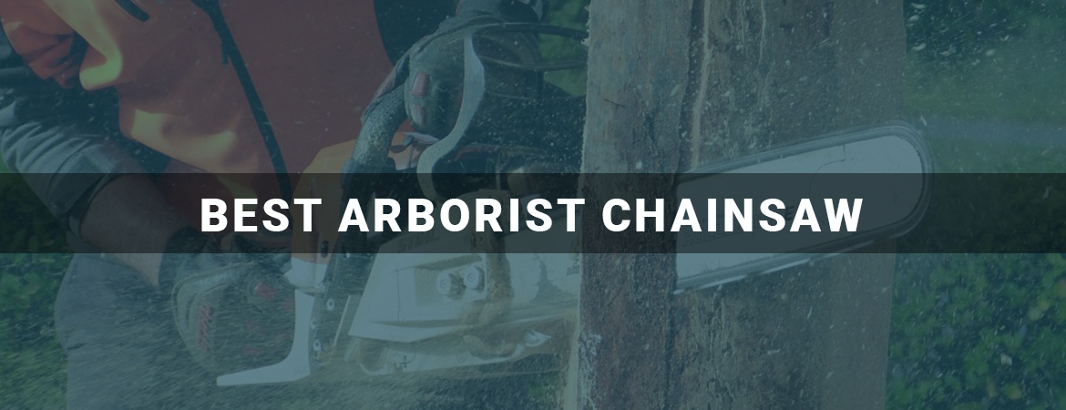 Best Arborist Chainsaw