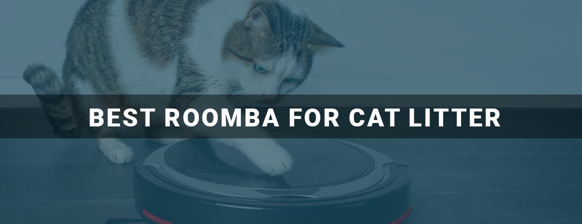 Best Roomba for Cat Litter