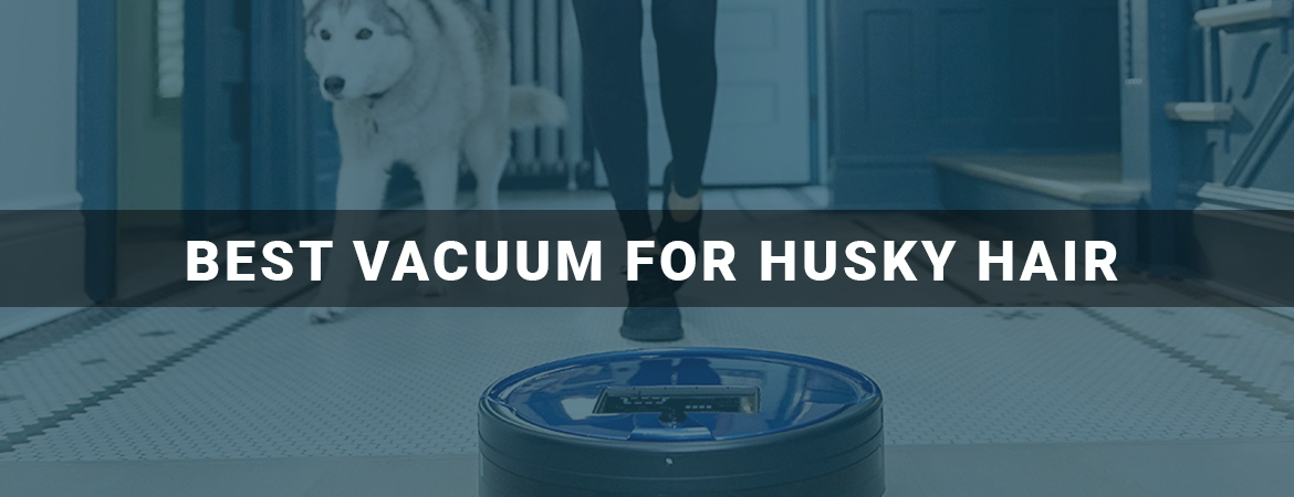 Best Vacuum For Husky Hair
