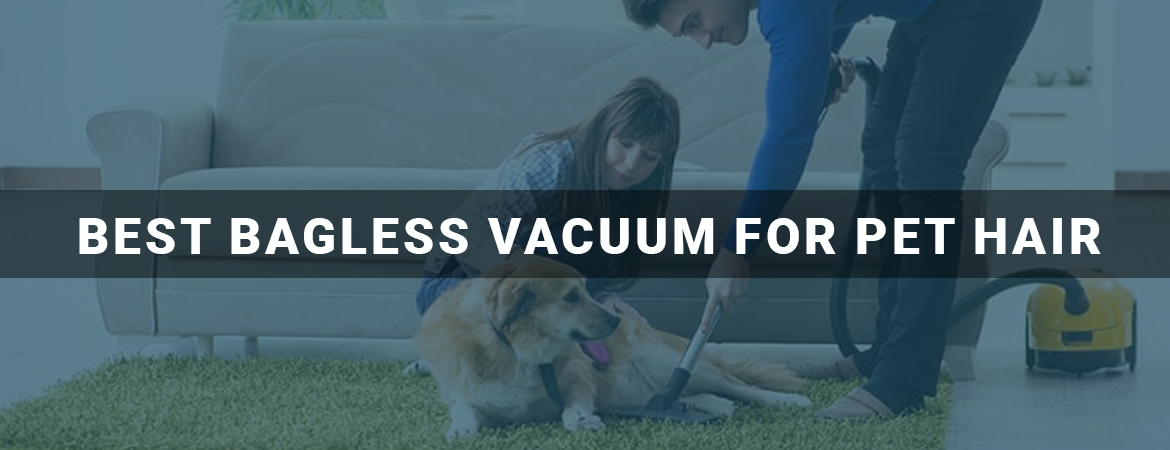 Best Bagless Vacuum For Pet Hair