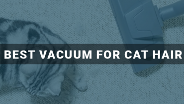 Best Vacuum For Cat Hair