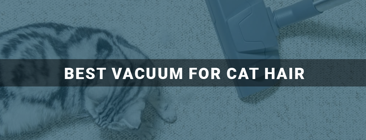 Best Vacuum For Cat Hair
