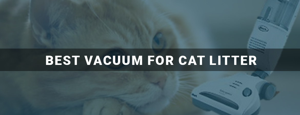 Best Vacuum For Cat Litter