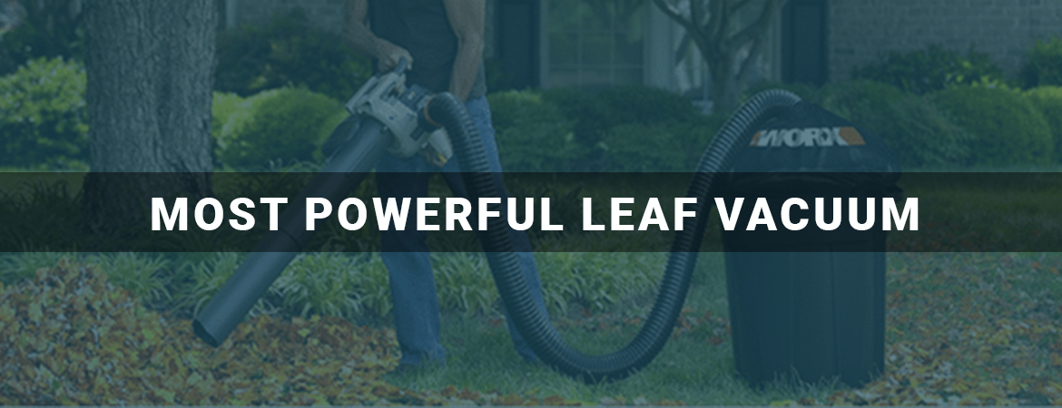 Most Powerful Leaf Vacuum