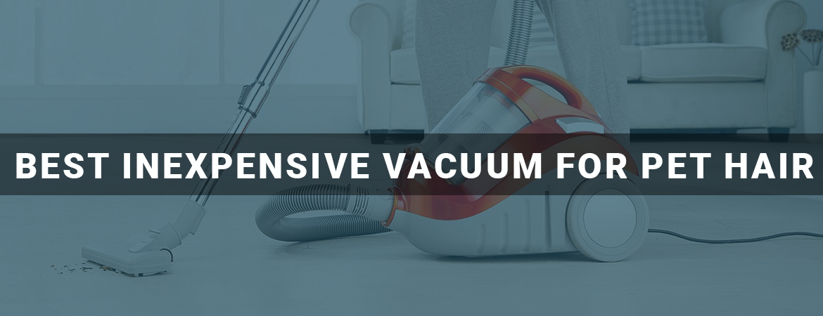 Best Inexpensive Vacuum For Pet Hair