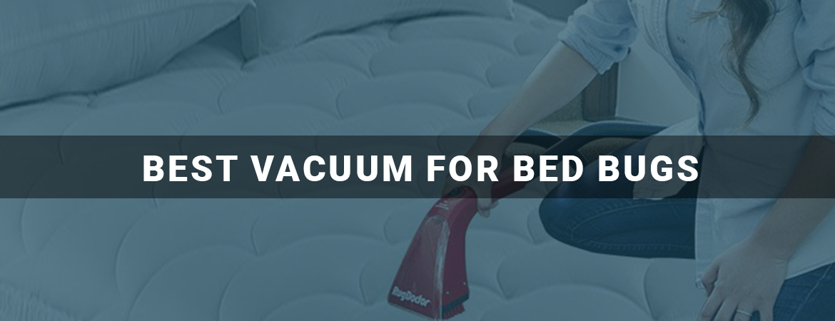 Best Vacuum For Bed Bugs